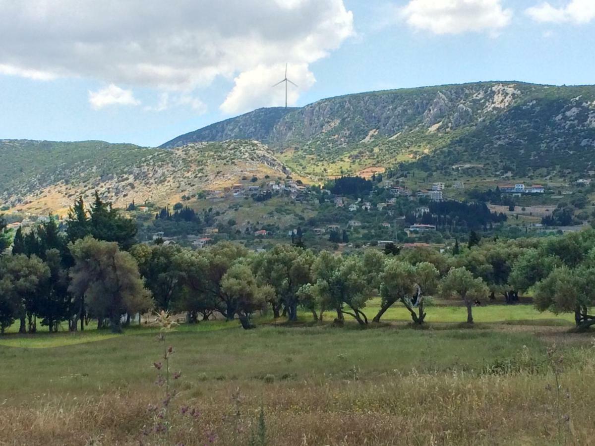 Zeytinli Konak Bed and Breakfast Esmirna Exterior foto